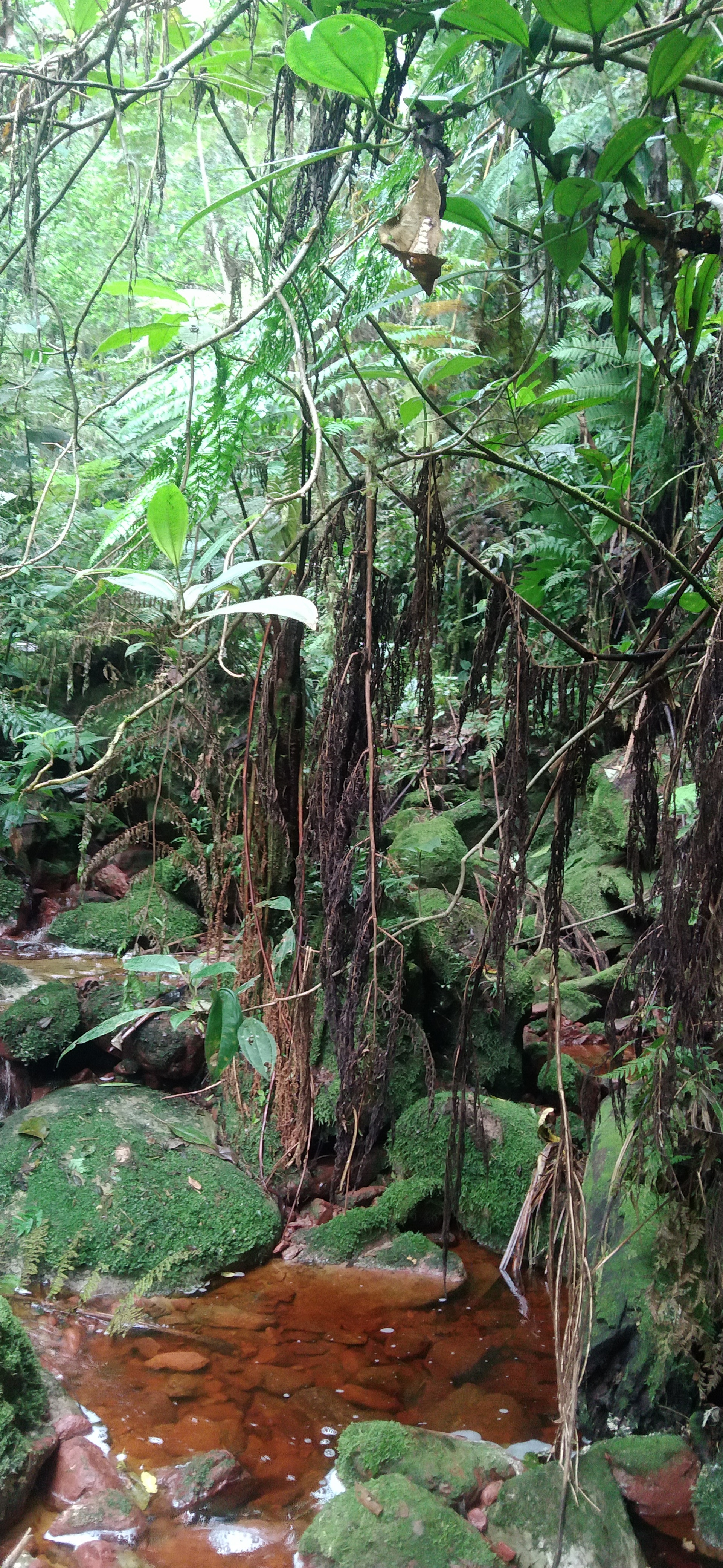 Todo encuentro humano es un cruce de destinos